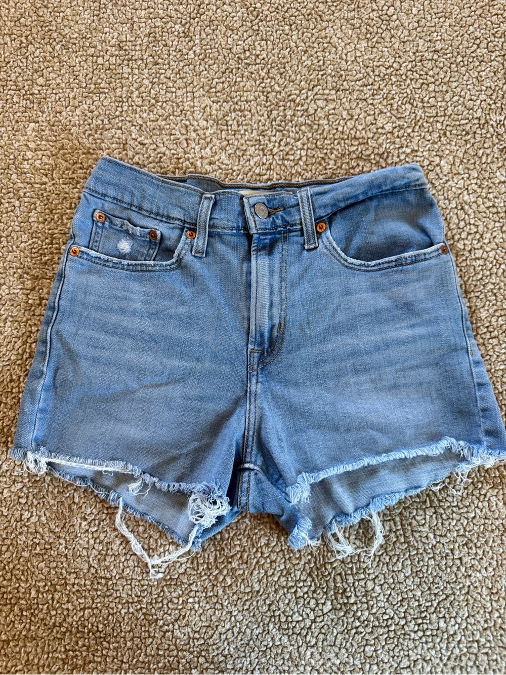 Levi’s High Rise Denim Cutoff Shorts Size 27 Light Wash Frayed Hem